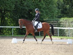 IMG_0965_web